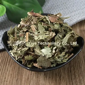 Dragón Jujube agua fragante pequeño orégano Tigre <span class=keywords><strong>fino</strong></span> orégano hierba Peperomia hoja té seco venta al por mayor procesamiento crudo - Product Image 2