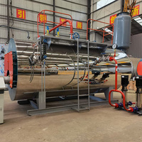 Chaudière à vapeur automatique WNS 3 tonnes en acier inoxydable, à prix d'usine, pour machine à alimenter les crevettes (gaz/GPL)