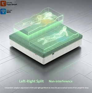 <span class=keywords><strong>ที่นอน</strong></span>อัจฉริยะ AISLUMBERX <span class=keywords><strong>พร้อม</strong></span>ระบบตรวจสอบการนอนหลับ รองรับด้วย AI Airbag ปรับระดับความนุ่ม-แข็งได้  OEM - Product Image 2