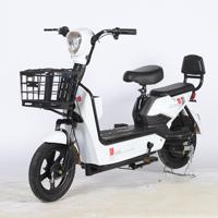 48V 350W cyclomoteur électrique Scooter 14 pouces pneu sous vide 2 sièges vélo électrique vélo électrique pour adultes