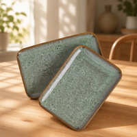 Assiette à sushi rectangulaire en mélamine de 10 pouces, durable et prête pour les fêtes, idéale pour les restaurants
