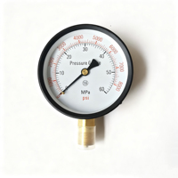 Manómetro del Calibrador de Inyectores de Combustible con Rango de 0-60MPA S60h S80h, Medidor de Presión para Inyectores Diesel