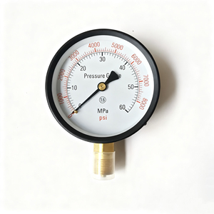 Yakıt Enjektör Kalibratörünün Basınç Göstergesi 0-60MPA Aralığında S60h S80h Dizel Enjektör Nozul Test Cihazı Basınç Ölçerdir - Product Image 3