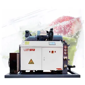 Energy saving 145p Cool Room Equipment Chiller Machine 40hp Two-Parallel Screw Compressor Refrigeration Condensing Unit