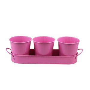 BX Garden Petite jardinière en métal en <span class=keywords><strong>acier</strong></span> <span class=keywords><strong>galvanisé</strong></span> Pot de fleur de bureau décoratif avec plateau pour affichage d'herbes et de fleurs - Product Image 1