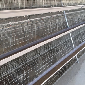 Một loại đặt Coop tùy chỉnh Pin lớp lồng hệ thống sản xuất lâu dài các tính năng một khung lớp lồng gia cầm - Product Image 3