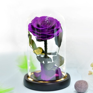 Rosas de Cristal Eternas con Luz, <span class=keywords><strong>Rosa</strong></span> Infinita, Flores Preservadas en Cúpula de Cristal, Cúpula de Cristal LED con Base de Madera - Product Image 2