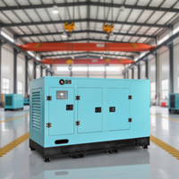 Générateur Diesel Ricardo 300 kVA/60 kVA/50 kW Super Silencieux ATS Démarrage Électrique 24 V Certifié CE – Vente Directe Usine