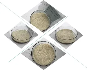 <span class=keywords><strong>Bacillus</strong></span> para Uso Agrícola, Fabricante Ofrece Aditivo para Alimentos, <span class=keywords><strong>Bacillus</strong></span> <span class=keywords><strong>Cereus</strong></span> - Product Image 6