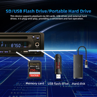 Autoradio 1 DIN para Camión/Autobús, 12-24V, con Bluetooth, USB, SD, FM, Amplificador de 4 Canales, Reproductor de MP3/DVD Multimedia con Micrófono