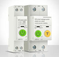 Compteur d'énergie intelligent WIFI monophasé TUYA 2P avec surveillance de la consommation Kwh, disjoncteur, minuterie, relais et protection contre les fuites