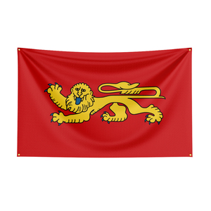 Drapeau en polyester durable imprimé numériquement sur mesure de 3x5 pieds, provenant d'<span class=keywords><strong>Aquitaine</strong></span>, France, pour la décoration - Product Image 1