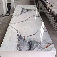 Feuille de PVC de panneau mural en marbre 2.5 3mm écologique avec impression UV Matériau WPC Service coupé sur commande Panneau mural Utilisation en intérieur