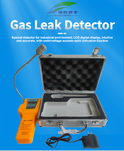 Trung Quốc nkyf chính xác cao OEM ODM Hot bán công nghiệp sử dụng ex-chứng nhận LCD CO2 co ống khói dễ cháy H2S Helium rò rỉ LPG Detector - Product Image 2