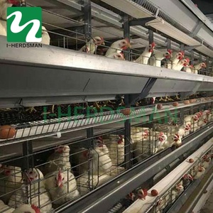 Sistema <span class=keywords><strong>de</strong></span> jaula <span class=keywords><strong>de</strong></span> batería <span class=keywords><strong>de</strong></span> pollo <span class=keywords><strong>de</strong></span> <span class=keywords><strong>engorde</strong></span> automático profesional <span class=keywords><strong>de</strong></span> precio <span class=keywords><strong>de</strong></span> fábrica para la <span class=keywords><strong>venta</strong></span> - Product Image 5