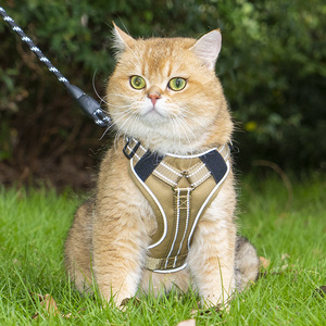 Harnais pour chien rembourré en forme de X, réglable, en polyester, avec laisse pour chiens de petite, moyenne et grande taille - Product Image 1