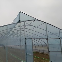 Serre agricole en polyéthylène transparent à simple portée préfabriquée, vente en gros, serre pour tomates et légumes d'occasion