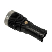 450nm Customized Bright Blue Laser Flashlight with Long Distance