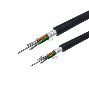 Cáp Quang GYTS/GYTA/Cáp Quang 24 Lõi Bọc Thép Trên Không GYTA - Product Image 2