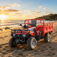Quad 250CC 4x4 tout-terrain, véhicule utilitaire agricole, buggy 4 roues, pour adulte, plage, sable, désert, course