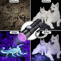 Linterna UV de 395nm con Zoom, Luz Negra Recargable por USB, Aleación de Aluminio, IP44, Detección de Orina de Mascotas, Iluminación para Curación