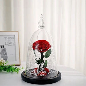 Rose éternelle classique <span class=keywords><strong>Rosa</strong></span> <span class=keywords><strong>Bella</strong></span> E Bestia, La Belle et la Bête sous cloche en verre, cadeau de la Saint-Valentin - Product Image 1