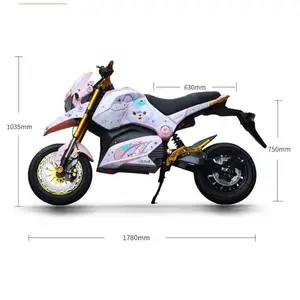 Motos tout-terrain électriques à longue portée 80kmh 120km Motos de sport Moto de course Moto Vélo Motocross Scooter de course électrique