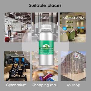 Huile de parfum personnalisée 100% Pure Aroma longue durée 500ml diffuseur de parfum d'hôtel Melaleuca bois de santal citron vert <span class=keywords><strong>bergamote</strong></span> - Product Image 6