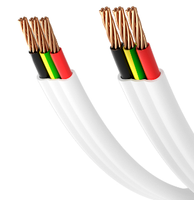 Câble électrique plat en cuivre toronné isolé PVC 2x4mm 3x4mm pour éclairage extérieur, 3 conducteurs, modèle RVVB - Marque Sanheng