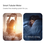 Module d'interrupteur intelligent LifeSmart 1m blanc pour rail de rideau avec télécommande via application WiFi CN