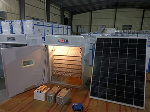 Wholesale 1056 Fully Automatic Solar Incubator High Cost Effectiveness Energy Saving Environmentally Hatching <b>Machine</b> Geese - Product Image 2