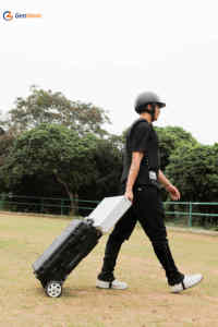 Design blu ultima terapia equina Pemf Magneto fisioterapica per animali Pmst Loop cavalli terapia macchina PEMF tappetino - Product Image 6