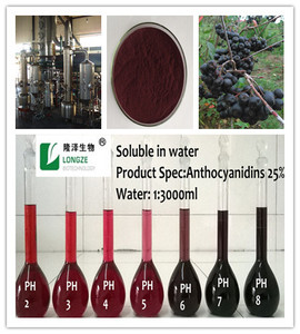 Poudre d'extrait de fruit d'<span class=keywords><strong>aronia</strong></span> (polyphénol) de qualité alimentaire, extraction par solvant, en pot Mason, fût ou bouteille, fournie par une usine certifiée ISO - Product Image 4