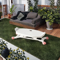 Appareil de fitness multifonctionnel portable pour la maison, en ABS écologique, simulateur de ski, mini stepper, planche d'équilibre