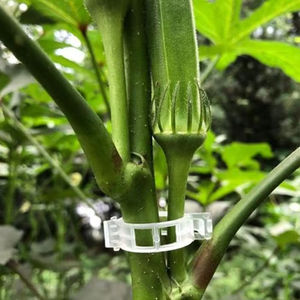 100 pièces/ensemble tomates concombres serre ferme fruits jardin outils agricole maison plante Clips support de légumes support de <span class=keywords><strong>vigne</strong></span> - Product Image 5