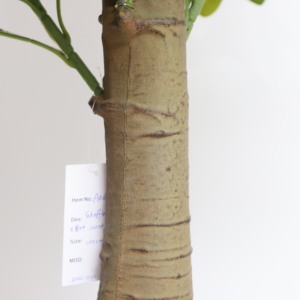 Venta al por mayor, precio directo de fábrica, plantas artificiales, bonsái, planta de árbol, Schefflera para la decoración del jardín del hogar, resistente a los rayos UV - Product Image 5