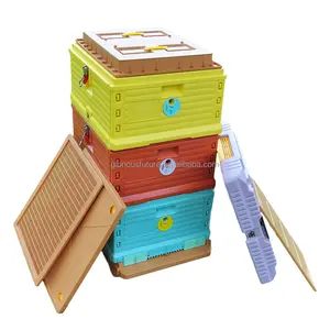 Équipement d'apiculture Ruche Langstroth Ruche en plastique multi-usages Triple 10 cadres Ruche d'abeilles