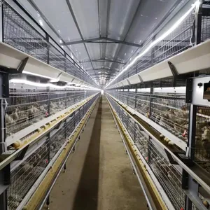 Poultry feed plant H type double line broiler cage coop system for chicken