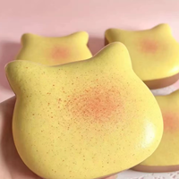 Produit Populaire : Jouet Squishy Mignon Chat Toast Kawaii en Mousse PU OEM Anti-Stress Emballé Individuellement Zoey Squishy