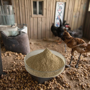 Cao cấp gia cầm premix thức ăn tăng trưởng bổ sung thức ăn lớp gà mái chất dinh dưỡng cải thiện sức khỏe đường ruột tăng cường chất lượng trứng - Product Image 4