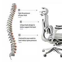 Fabricant de chaises de bureau, chaise de travail en maille avec accoudoirs réglables, mousse haute densité pour bureaux commerciaux, vente en gros