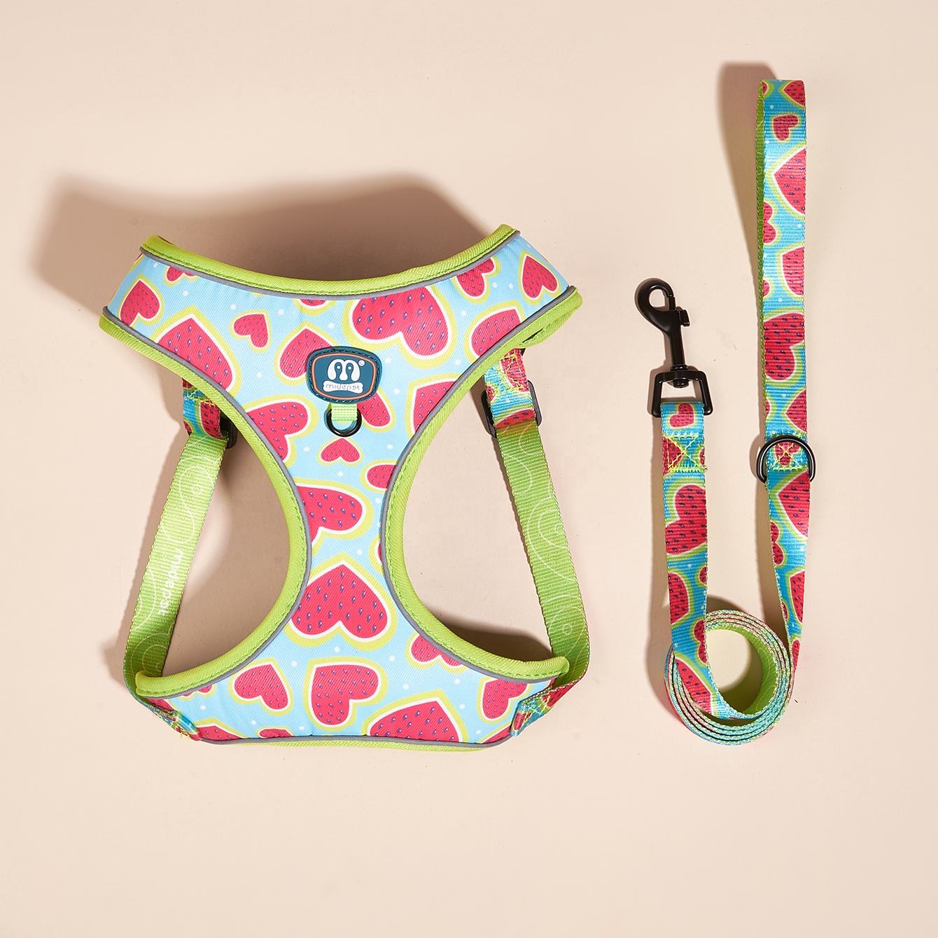 Pastèque verte 2 Pcs