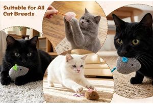 Wholesale <b>Plush</b> Cute Design Mouse <b>Cat</b> Toys - Product Image 6