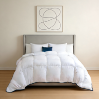 Couette de luxe en duvet de coton et plumes de canard, avec remplissage de duvet et plumes, design à compartiments, blanche unie, pour la literie de la maison