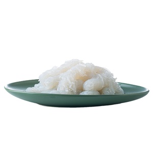 نودلز صديقة للقيتو خالية من السكر والدهون على شكل عقدة الكونجاك - Product Image 1