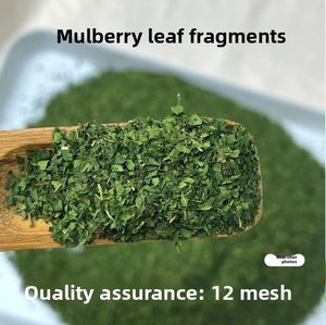 Свежий сбор: фрагменты листьев шелковицы с сохраненным ароматом, сушеные, в пакете, для домашнего заваривания, офиса, здорового чаепития - Product Image 5