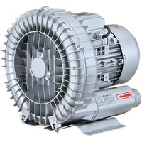 Pompe d'aération régénérative électrique DC pour bassin aquatique, souffleur d'air annulaire pour pisciculture, OEM pour système d'aquaculture en recirculation