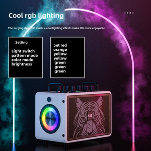 Loa Di Động Không Dây Có Micro, Âm Thanh HiFi, Hệ Thống Âm Thanh Chất Lượng Cao, Bộ Khuếch Đại Công Suất Cao, Bluetooth, Đèn RGB - Product Image 5