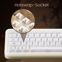 Akko YU01 Transparent Keycaps 65% Mechanical Keyboard Hot Swappable Gaming RGB Backlit for 5.0 2.4G Wireless 1000Hz
