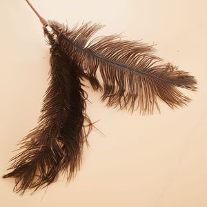 Real Feather Long Stick Cat Teaser <b>Bite</b> Resistant Interactive Toy For Cats - Product Image 3
